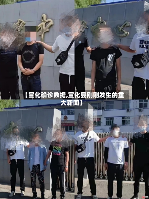 【宣化确诊数据,宣化县刚刚发生的重大新闻】-第2张图片