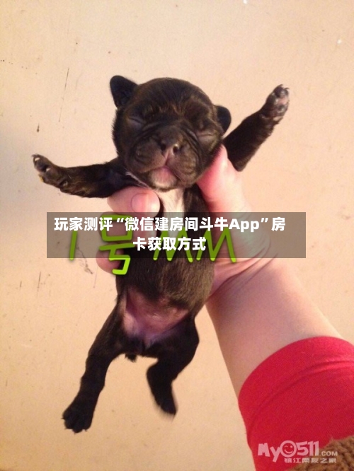 玩家测评“微信建房间斗牛App”房卡获取方式