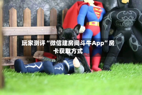 玩家测评“微信建房间斗牛App”房卡获取方式-第3张图片
