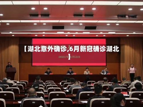 【湖北意外确诊,6月新冠确诊湖北】-第3张图片