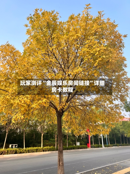 玩家测评“金辰娱乐房间链接”详细房卡教程-第2张图片