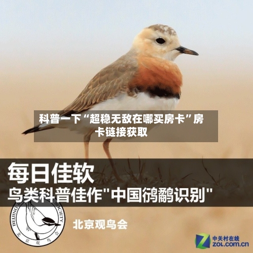 科普一下“超稳无敌在哪买房卡”房卡链接获取