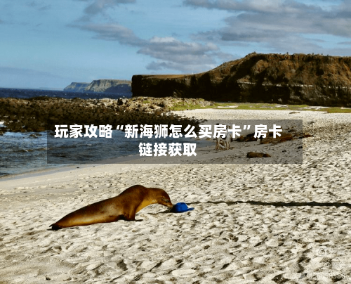 玩家攻略“新海狮怎么买房卡”房卡链接获取-第3张图片