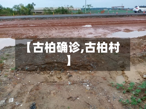 【古柏确诊,古柏村】