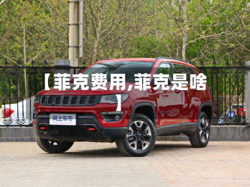 【菲克费用,菲克是啥】