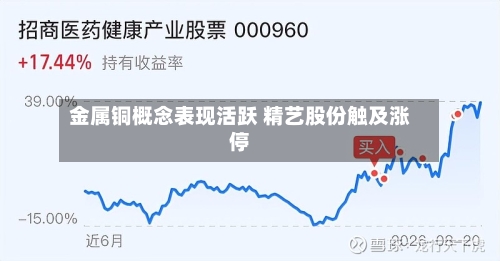 金属铜概念表现活跃 精艺股份触及涨停
