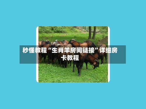 秒懂教程“生肖羊房间链接”详细房卡教程
