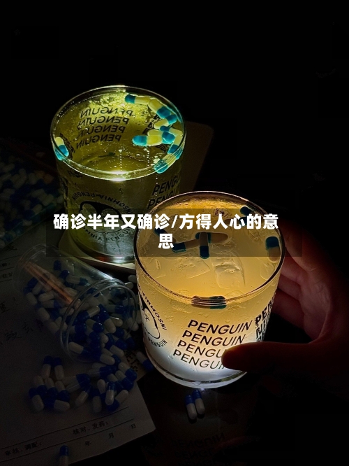 确诊半年又确诊/方得人心的意思