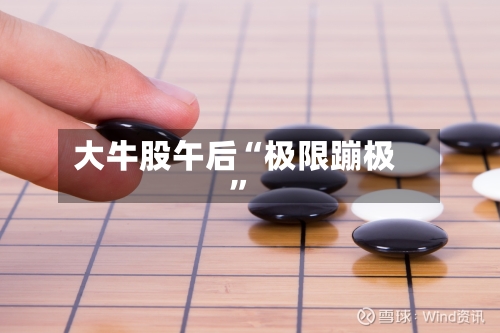 大牛股午后“极限蹦极	”-第2张图片