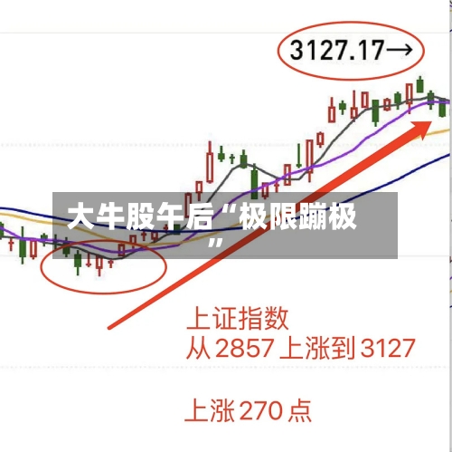 大牛股午后“极限蹦极”