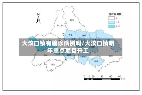 大汶口镇有确诊病例吗/大汶口镇明年重点项目开工