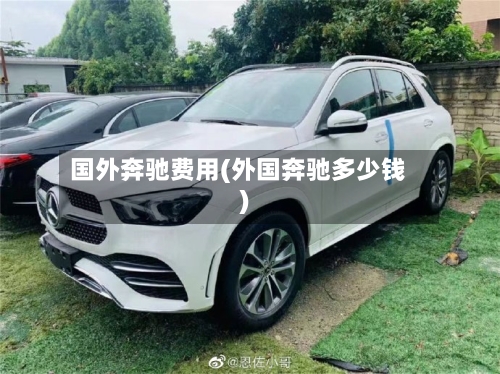 国外奔驰费用(外国奔驰多少钱)