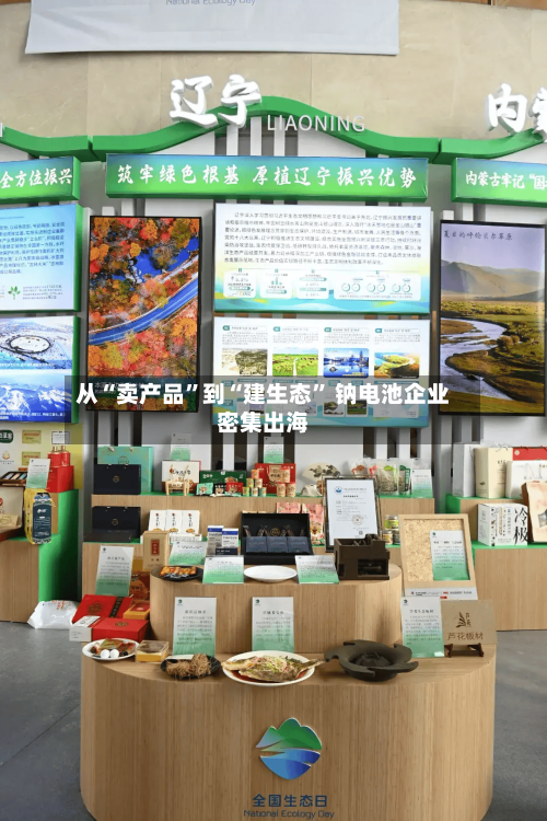从“卖产品”到“建生态” 钠电池企业密集出海-第2张图片