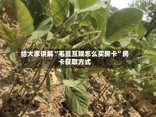 给大家讲解“毛豆互娱怎么买房卡	”房卡获取方式-第2张图片