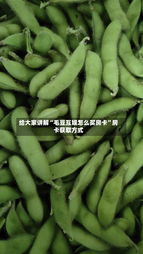 给大家讲解“毛豆互娱怎么买房卡”房卡获取方式