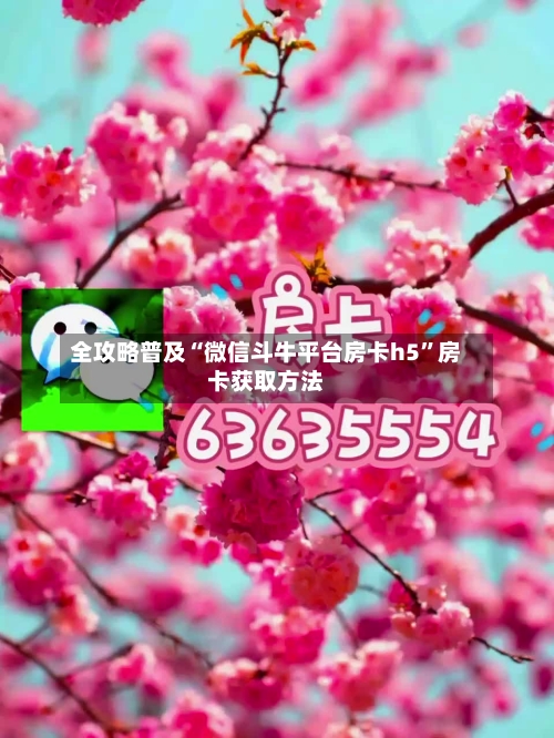 全攻略普及“微信斗牛平台房卡h5”房卡获取方法-第3张图片