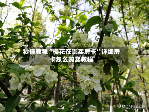 秒懂教程“樱花在哪买房卡”详细房卡怎么购买教程