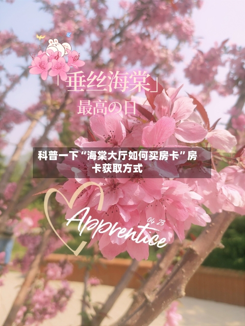 科普一下“海棠大厅如何买房卡”房卡获取方式-第3张图片