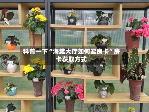科普一下“海棠大厅如何买房卡”房卡获取方式