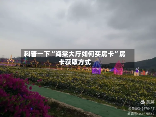 科普一下“海棠大厅如何买房卡”房卡获取方式-第2张图片