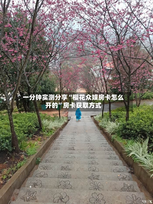 一分钟实测分享“樱花众娱房卡怎么开的”房卡获取方式-第3张图片