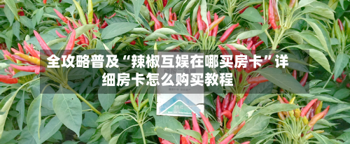 全攻略普及“辣椒互娱在哪买房卡”详细房卡怎么购买教程