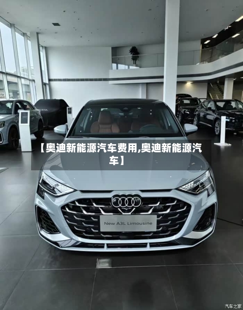 【奥迪新能源汽车费用,奥迪新能源汽车】-第2张图片