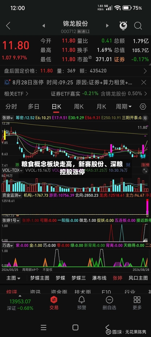 粮食概念板块走高，新赛股份、深粮控股涨停-第2张图片