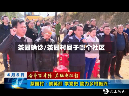 茶园确诊/茶园村属于哪个社区-第2张图片