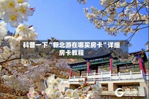 科普一下“新北游在哪买房卡”详细房卡教程-第2张图片