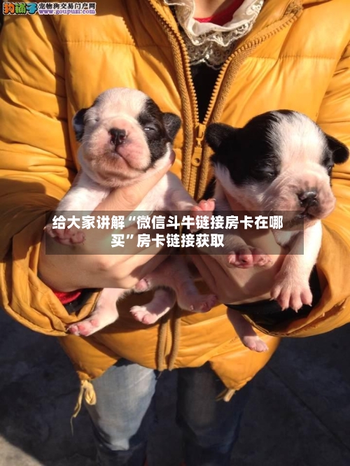 给大家讲解“微信斗牛链接房卡在哪买”房卡链接获取