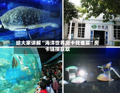 给大家讲解“海洋世界房卡找谁买”房卡链接获取