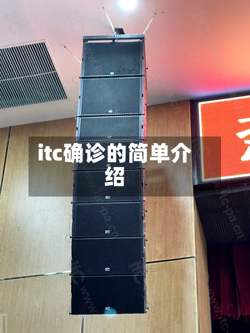itc确诊的简单介绍