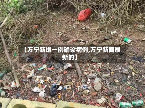 【万宁新增一例确诊病例,万宁新闻最新的】