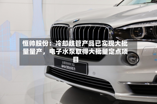 恒帅股份：冷却歧管产品已实现大批量量产，电子水泵取得大批量定点项目-第2张图片