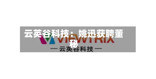 云英谷科技：姚迅获聘董秘-第2张图片