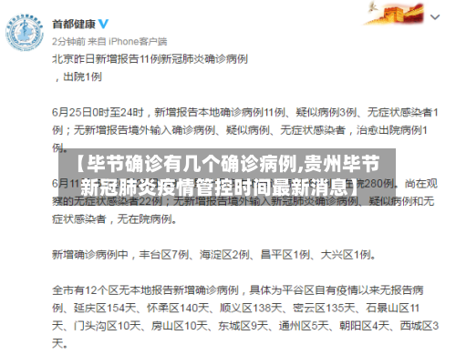 【毕节确诊有几个确诊病例,贵州毕节新冠肺炎疫情管控时间最新消息】-第2张图片