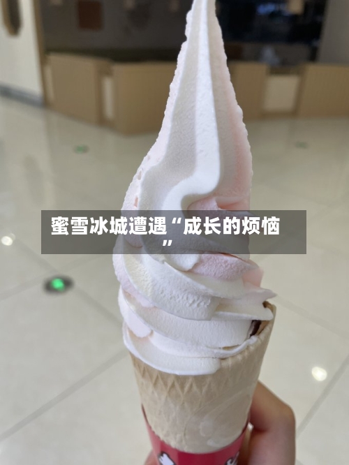 蜜雪冰城遭遇“成长的烦恼	”-第2张图片