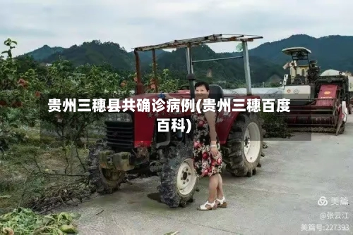 贵州三穗县共确诊病例(贵州三穗百度百科)