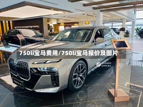 750li宝马费用/750li宝马报价及图片