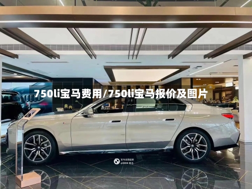 750li宝马费用/750li宝马报价及图片-第2张图片
