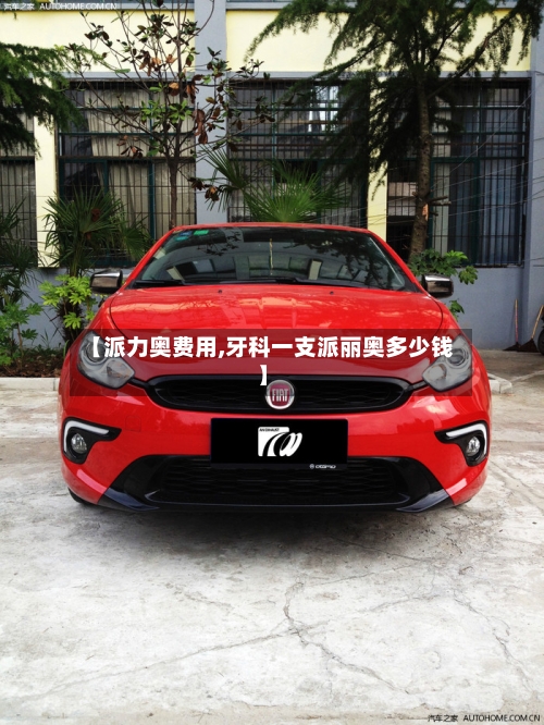 【派力奥费用,牙科一支派丽奥多少钱】