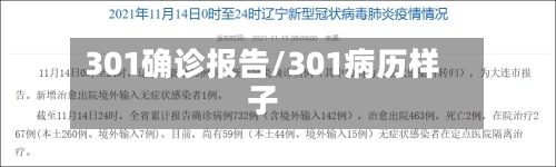 301确诊报告/301病历样子