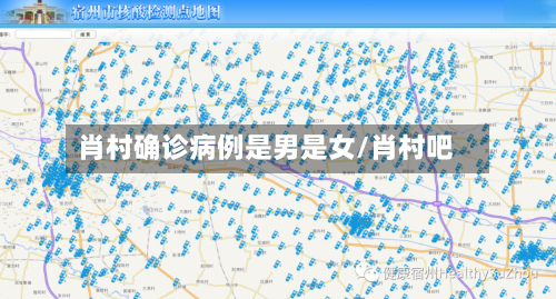 肖村确诊病例是男是女/肖村吧