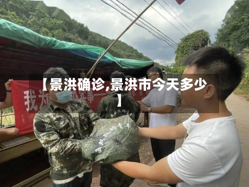 【景洪确诊,景洪市今天多少】