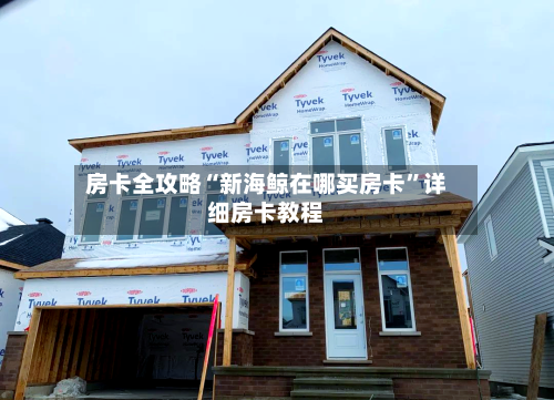 房卡全攻略“新海鲸在哪买房卡”详细房卡教程