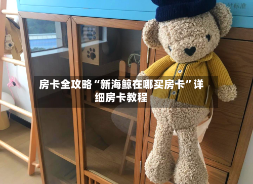 房卡全攻略“新海鲸在哪买房卡”详细房卡教程-第3张图片