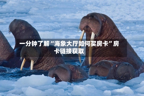 一分钟了解“海象大厅如何买房卡”房卡链接获取