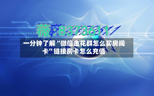 一分钟了解“微信金花群怎么买房间卡”链接房卡怎么充值-第2张图片