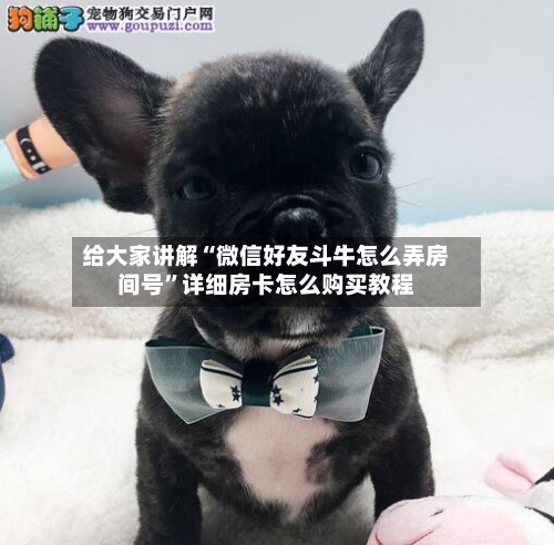 给大家讲解“微信好友斗牛怎么弄房间号	”详细房卡怎么购买教程-第2张图片